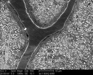 /static/micrographs/micrograph271.png
