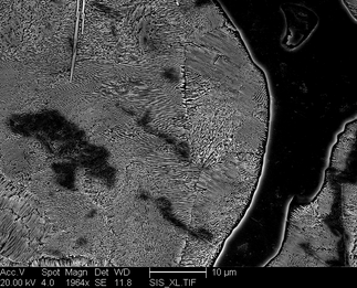 /static/micrographs/micrograph273.png
