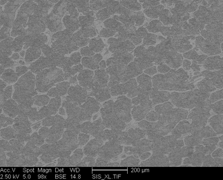 /static/micrographs/micrograph280.png