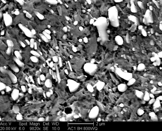 /static/micrographs/micrograph283.png