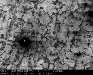 /static/micrographs/micrograph285.png