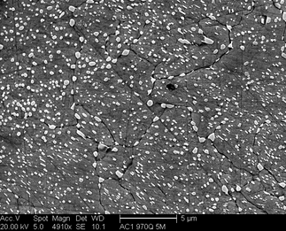 /static/micrographs/micrograph286.png