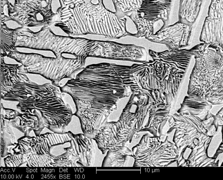 /static/micrographs/micrograph288.png
