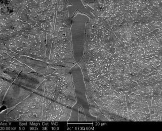 /static/micrographs/micrograph295.png