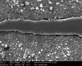 /static/micrographs/micrograph296.png