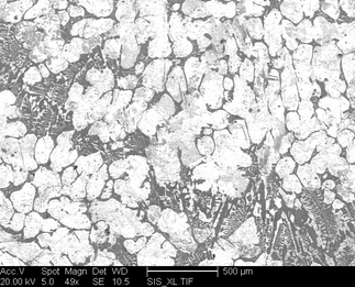 /static/micrographs/micrograph297.png