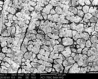 /static/micrographs/micrograph301.png