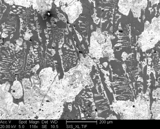 /static/micrographs/micrograph305.png