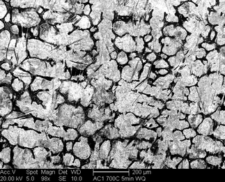 /static/micrographs/micrograph306.png