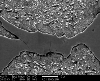 /static/micrographs/micrograph308.png