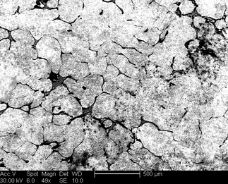 /static/micrographs/micrograph31.png