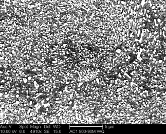 /static/micrographs/micrograph311.png