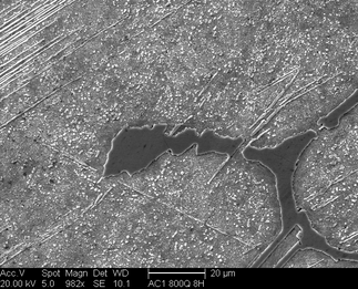 /static/micrographs/micrograph312.png