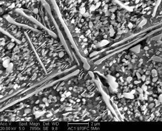 /static/micrographs/micrograph313.png