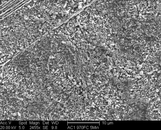 /static/micrographs/micrograph314.png