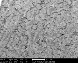 /static/micrographs/micrograph316.png