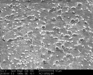 /static/micrographs/micrograph318.png