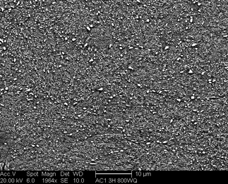 /static/micrographs/micrograph321.png