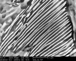 /static/micrographs/micrograph322.png