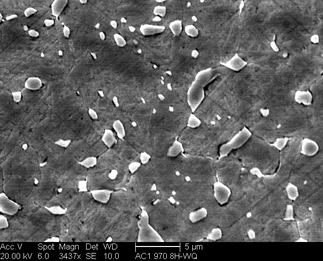 /static/micrographs/micrograph326.png
