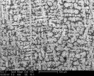 /static/micrographs/micrograph33.png