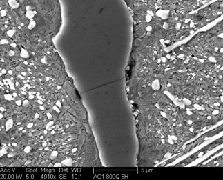 /static/micrographs/micrograph330.png