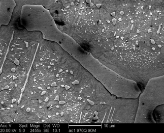 /static/micrographs/micrograph333.png