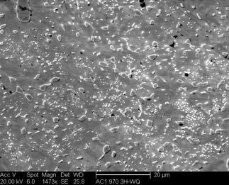 /static/micrographs/micrograph337.png