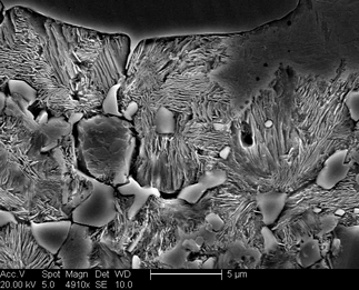 /static/micrographs/micrograph342.png