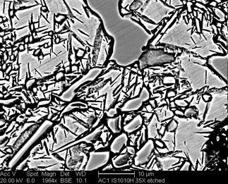 /static/micrographs/micrograph345.png