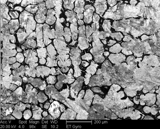 /static/micrographs/micrograph347.png