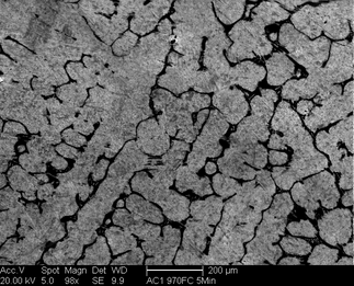 /static/micrographs/micrograph35.png