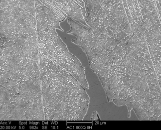 /static/micrographs/micrograph351.png