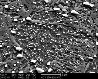 /static/micrographs/micrograph352.png