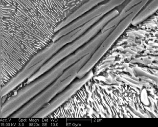 /static/micrographs/micrograph353.png