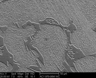 /static/micrographs/micrograph354.png