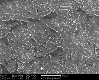 /static/micrographs/micrograph357.png