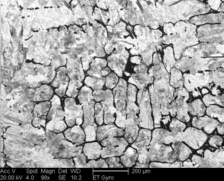 /static/micrographs/micrograph36.png