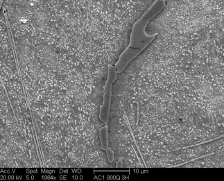 /static/micrographs/micrograph360.png