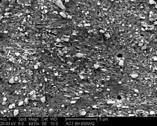 /static/micrographs/micrograph364.png