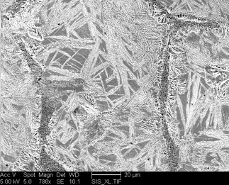 /static/micrographs/micrograph366.png