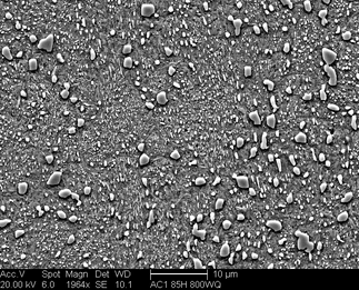 /static/micrographs/micrograph367.png