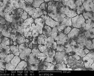 /static/micrographs/micrograph368.png
