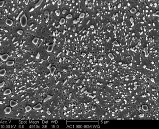 /static/micrographs/micrograph369.png