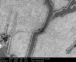 /static/micrographs/micrograph37.png