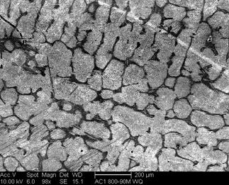 /static/micrographs/micrograph371.png