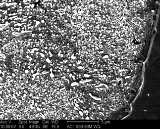 /static/micrographs/micrograph373.png