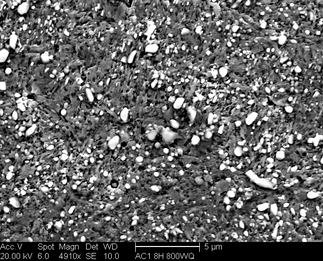 /static/micrographs/micrograph376.png