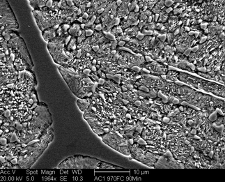 /static/micrographs/micrograph380.png