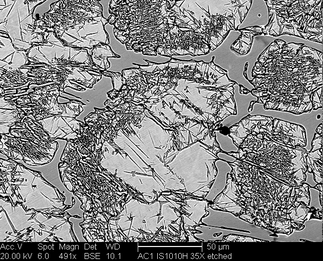 /static/micrographs/micrograph381.png